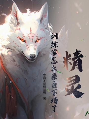 精灵:训练家怎么亲自下场了?